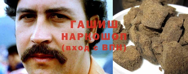 индика Бронницы